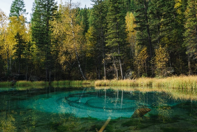 Озеро в Горном Алтае